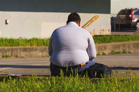 picture of fat man|free images fat men.